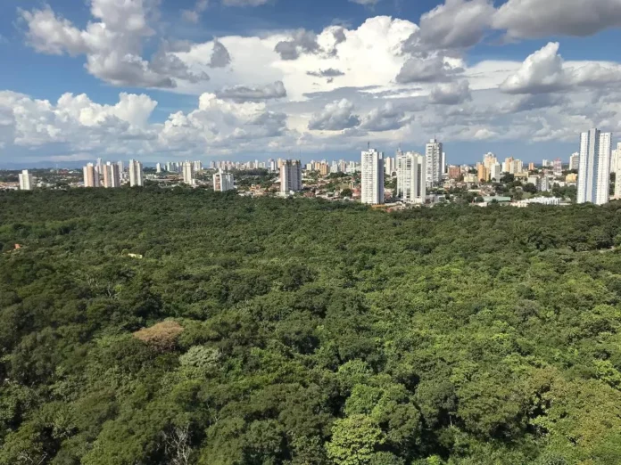 Vista aérea do Parque Mãe Bonifácia, em Cuiabá — Foto: Nara Assis/Secom-MT