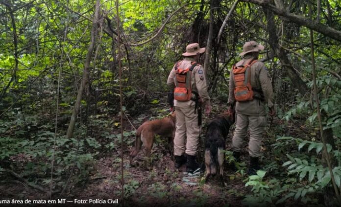 Mais cinco corpos foram encontrados enterrados em uma área de mata em MT — Foto: Polícia Civil