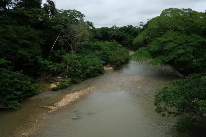 Mulher desaparece em rio após salvar criança de afogamento em Cuiabá — Foto: Rafael Manzutti/Sinfra MT